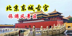 国内自拍偷拍视频秀逼毛洞中国北京-东城古宫旅游风景区