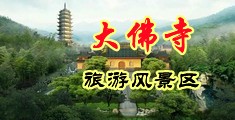 大鸡吧日骚逼高清视频中国浙江-新昌大佛寺旅游风景区